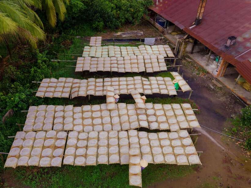 Can Tho: Explore Mekong, Floating Market, Cacao & Local Life - A village walk among fruit trees