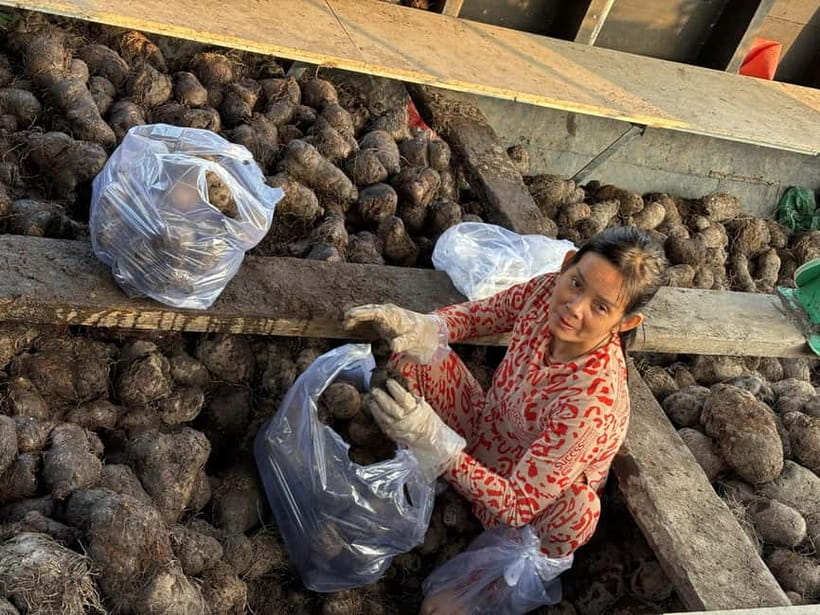 Can Tho: Floating Market, Cacao & Canals with French Guide - Cacao Milk and Cacao Wine at the Farm