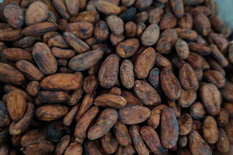 Cancún: Chocolate Making Class and Tasting with Chef - From Mayan cocoa drink to modern chocolate bar