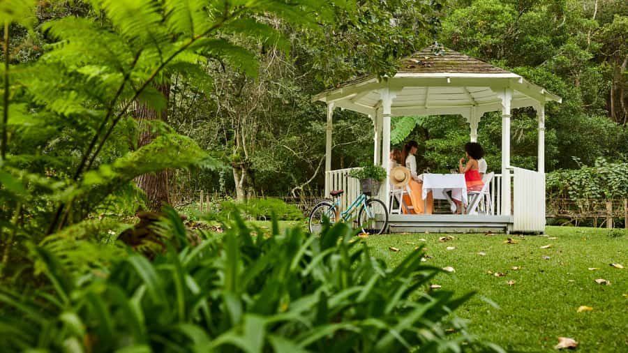 Central Coast: Chocolate and Wine Pairing Experience - Sitting in the winter sun or moving through the gardens