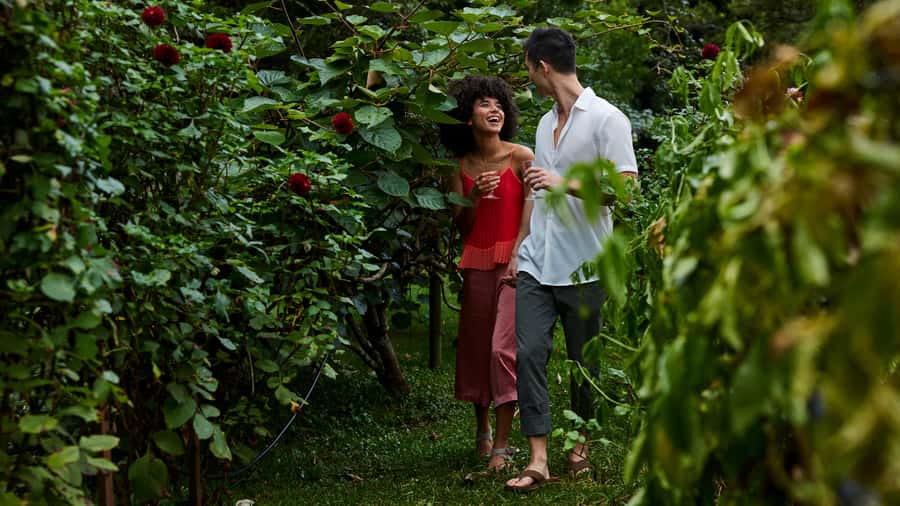 Central Coast: Chocolate and Wine Pairing Experience - Who should choose it, and who should skip it