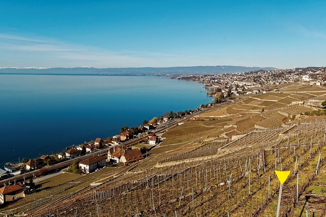 Cheese, Chocolate and Wine in the Bern Region from Luzern - A big Swiss day from Lucerne