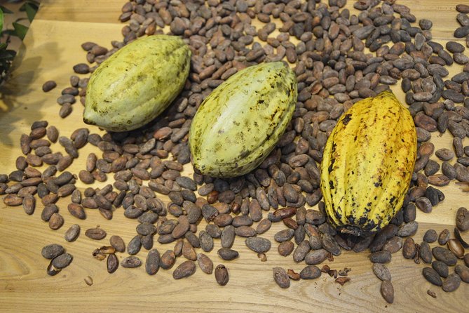Chocolate and Cobblestones Tour with Taste of San Miguel - Pain au chocolat, truffles, and a pastry chef’s view