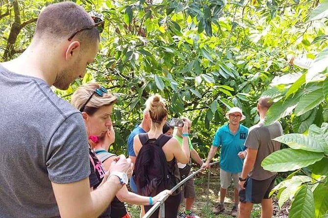 Chocolate and Coffee Tour Farm Don Jorge - Key points before you book