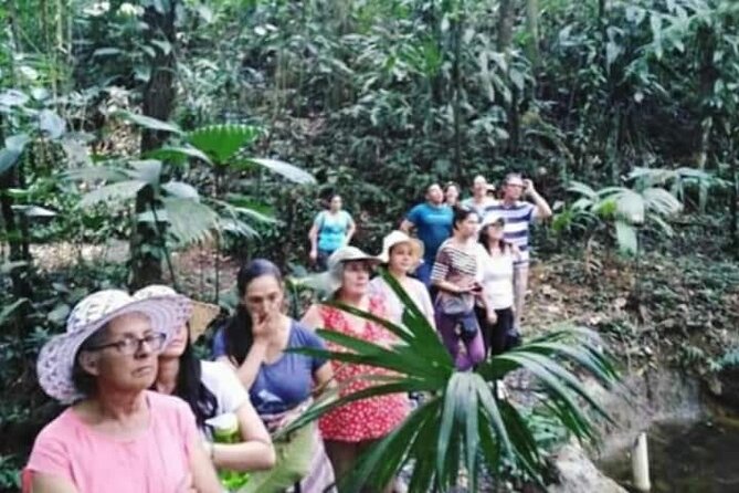Chocolate and Coffee Tour Farm Don Jorge - A small farm with a personal welcome