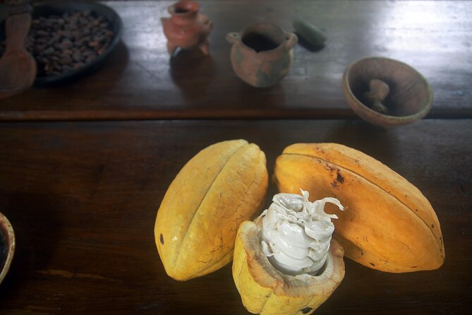 Chocolate and Farm Tour with local Tico family - Why this farm visit feels different from a standard chocolate stop