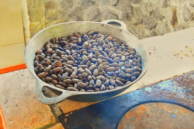 Chocolate and Farm Tour with local Tico family - From fresh fruit to traditional cacao drinks