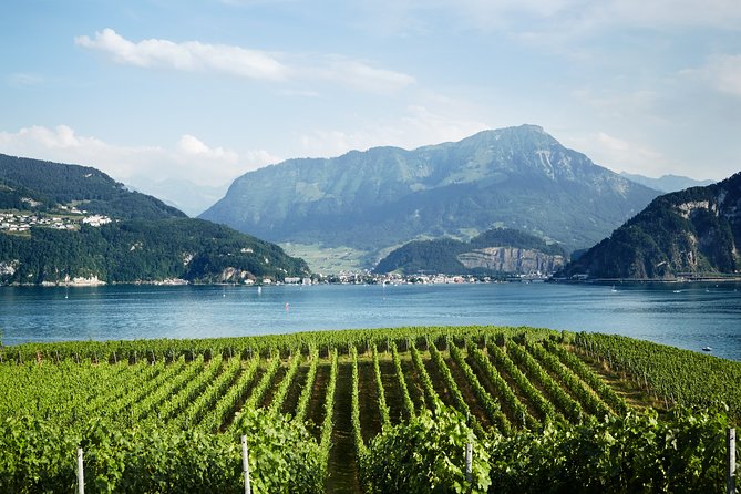 Chocolate, Cheese and Wine Tour in Luzern region - Adding towns, villages, and natural sights