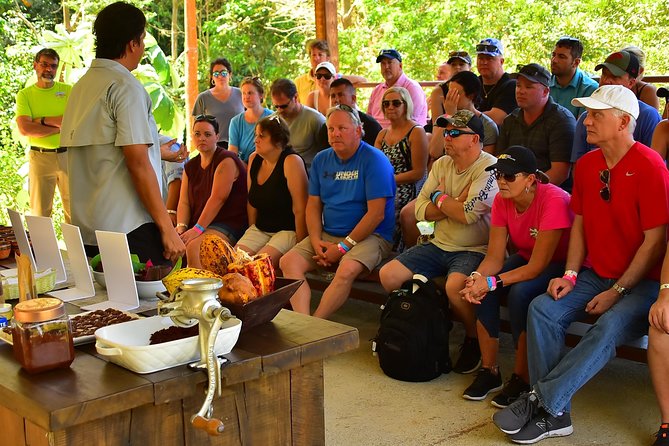 Chocolate Experience in Jaco Beach and Los Suenos - From cacao tree to chocolate bar near Jaco