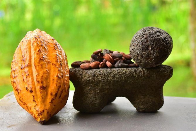 Chocolate Experience in Jaco Beach and Los Suenos - Tasting the fruit before the sweets arrive