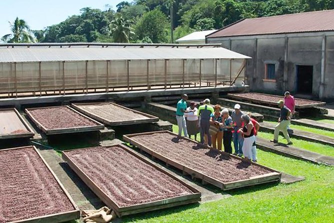 Chocolate Factory Belmont Estate, Annandale Falls & Grand Etang Lake Tour - Key points to know before booking