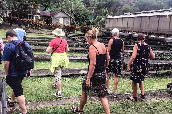 Chocolate Factory Belmont Estate, Annandale Falls & Grand Etang Lake Tour - The small-group format and guide quality