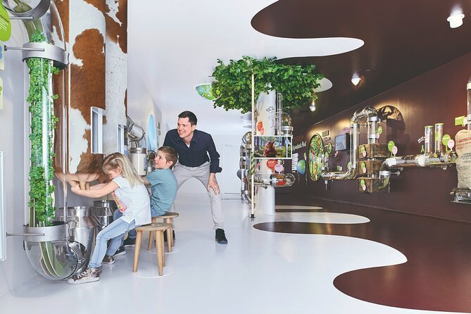 Chocolate factory Individual experience tour - What the Chocolarium visit is really about