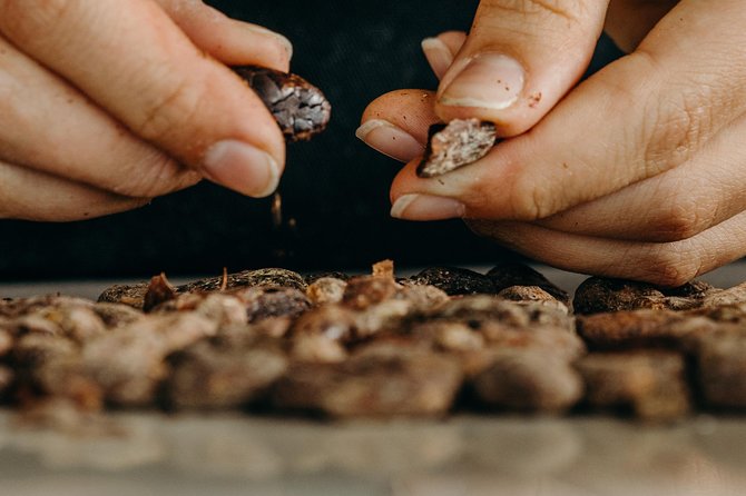 Chocolate Master Class & Taino Concept Store - A tasting lesson before the kitchen work
