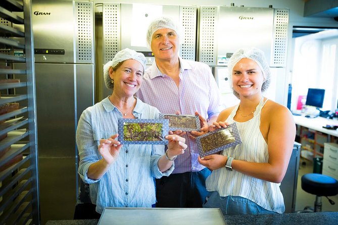 Chocolate Tasting with Lake Trip and City Tour: The Ultimate Lucerne Experience - The chocolate tasting and the possible workshop