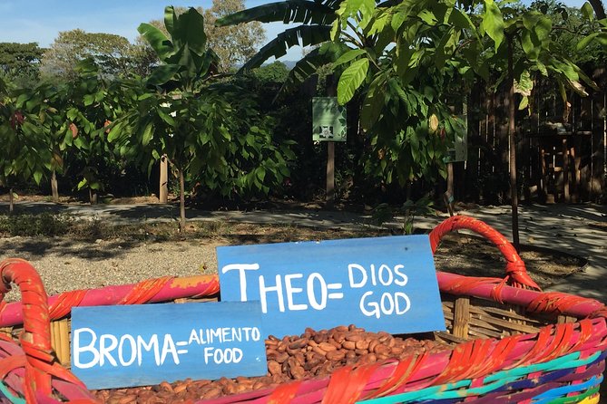Chocolate Tour in Vallarta - Key points at a glance