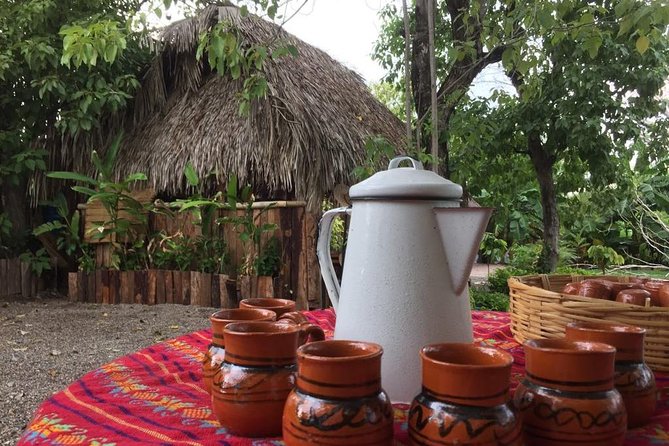 Chocolate Tour in Vallarta - Why this is more than a chocolate tasting