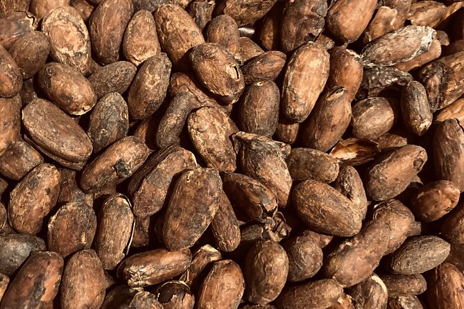 Chocolate Tour Including Hot Chocolate and Samples - Is $89 a fair price?