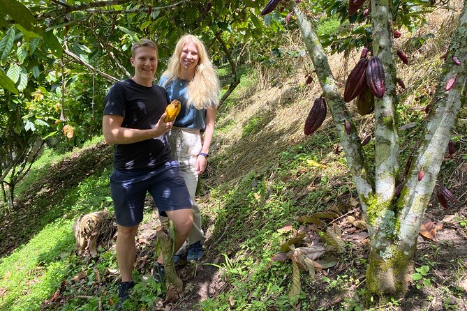 Chocolate tour near Medellin - Picking cacao pods and tasting the fresh pulp