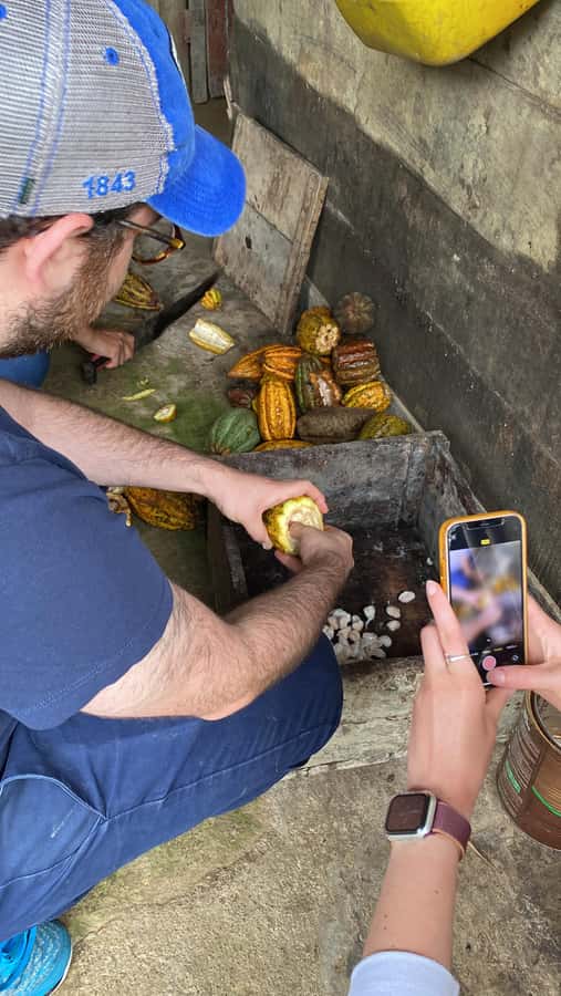 Chocolate tour near the Medellín - Key points at a glance