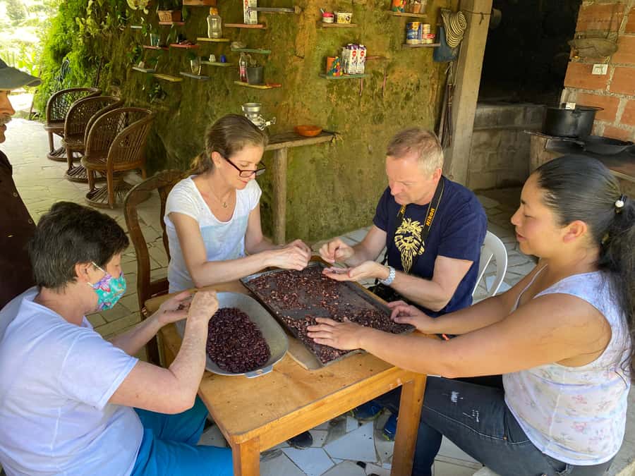 Chocolate tour near the Medellín - From Medellín streets to Barbosa farmland