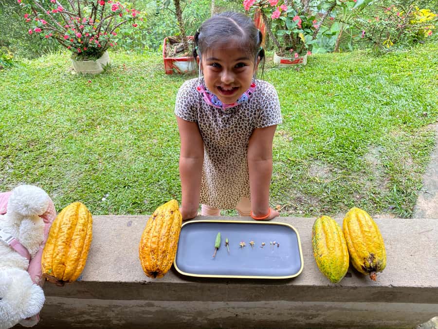 Chocolate tour near the Medellín - Making chocolate with your own hands