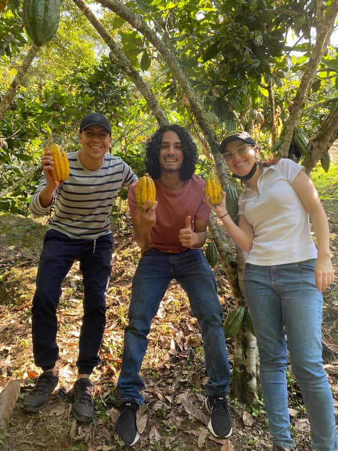 Chocolate tour near the Medellín - What the $126 price really covers