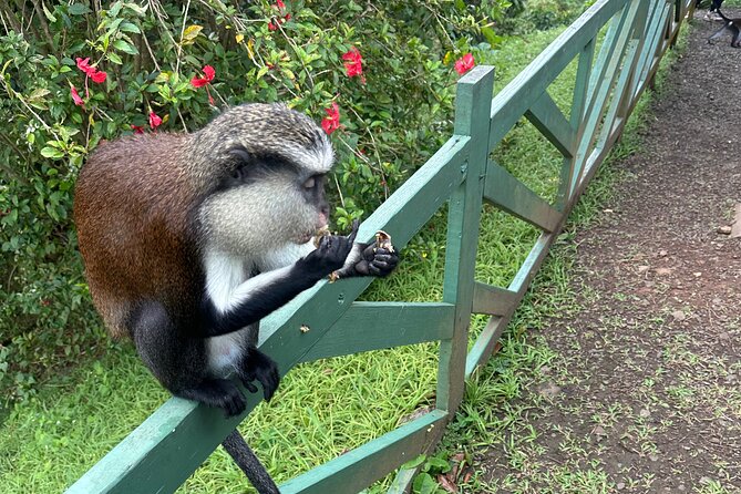 Chocolate, Waterfall, spices and Nature tours! - Key points to know before booking