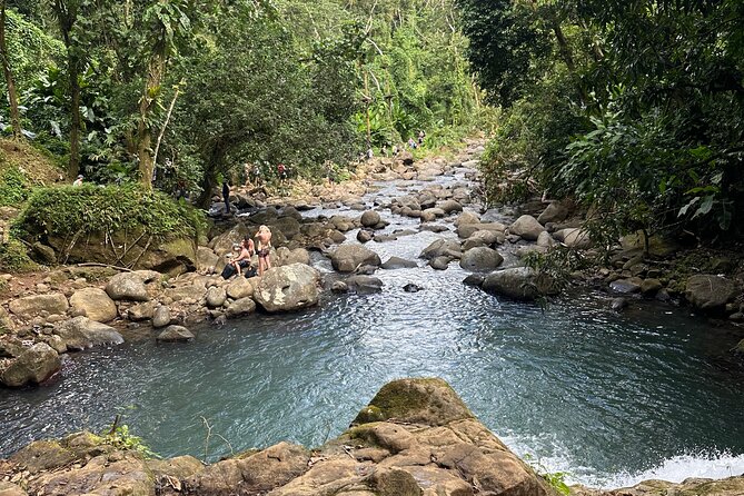 Chocolate, Waterfall, spices and Nature tours! - Grand Etang Lake in the mountain rainforest