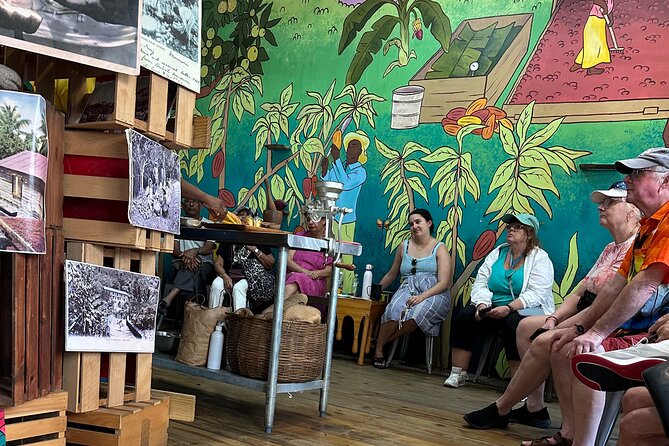 Chocolate, Waterfall, spices and Nature tours! - Pickup, timing, and the cruise-terminal return