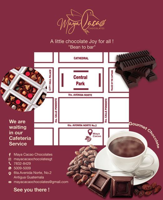 Chocolate workshop; gastronomic experience of cocoa. - Finding the mustard-colored house in Antigua
