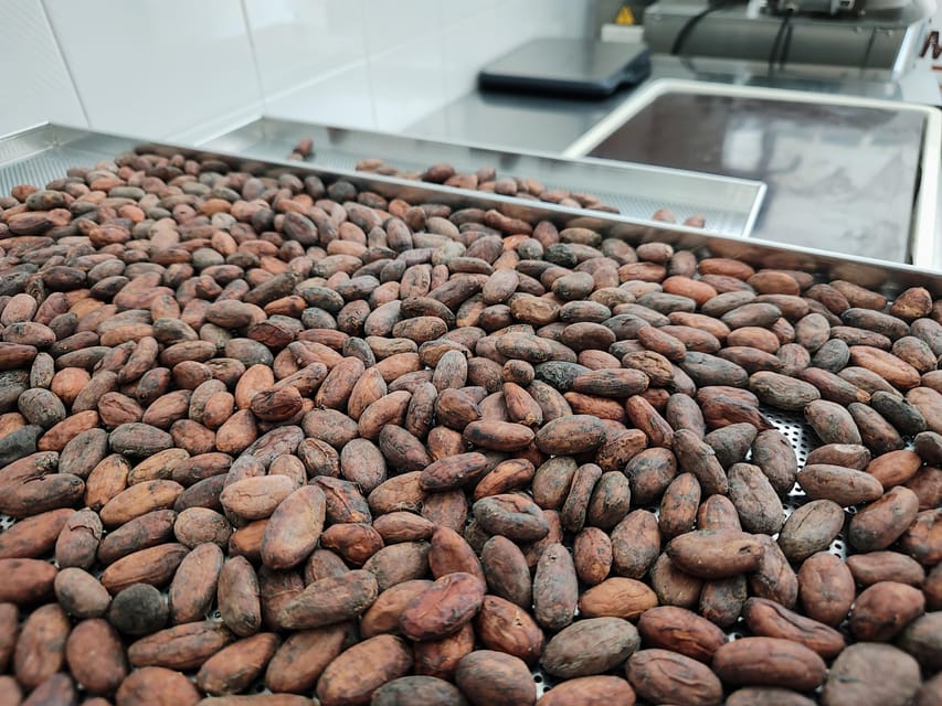 Chocolatier for a day: raw bean to bar chocolate in Modica - Roasting the beans and following the aroma