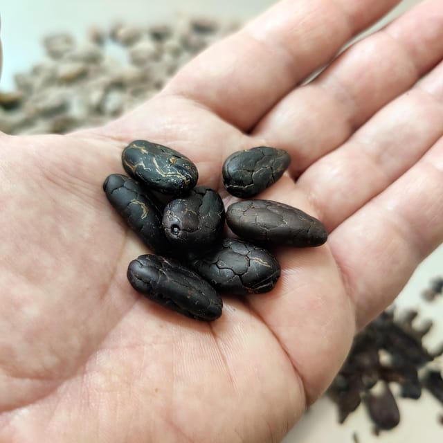 Chocolatier for a day: raw bean to bar chocolate in Modica - Is $94 per person good value?