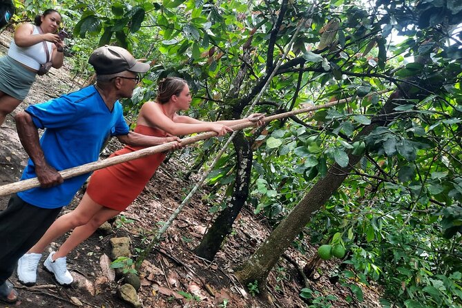 Cocoa & Artisan Chocolate Route with an Historical Tour in Puerto Plata City - From Puerto Plata to Hacienda Cufa