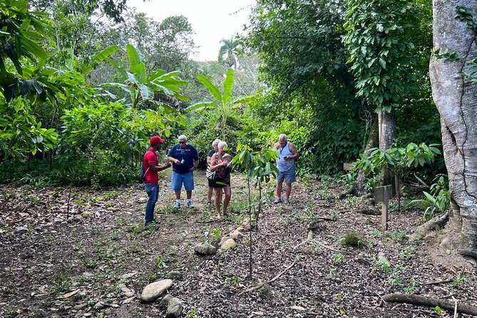 Cocoa & Artisan Chocolate Route with an Historical Tour in Puerto Plata City - Is $98 a fair price?