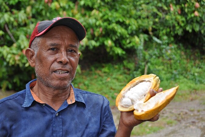 Cocoa & Artisan Chocolate Route with an Historical Tour in Puerto Plata City - Making chocolate instead of just buying it