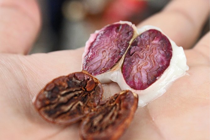 Cocoa farm and Chocolate making! - Harvesting a cacao pod