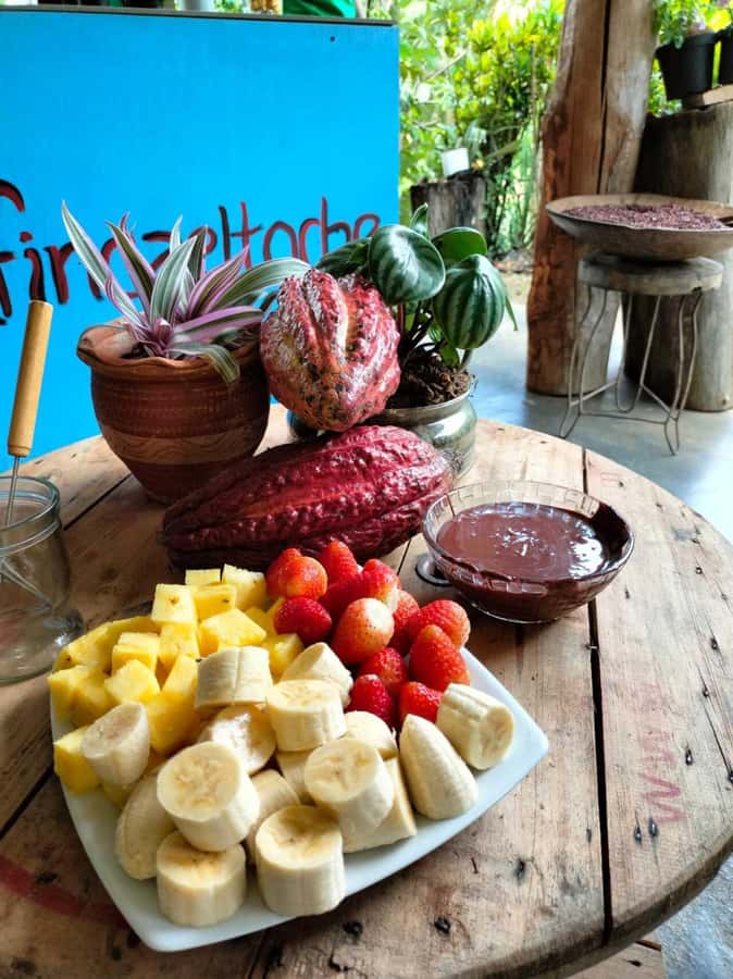 Cocoa Tour - San Rafael Antioquia from Medellín - Key points to know before booking