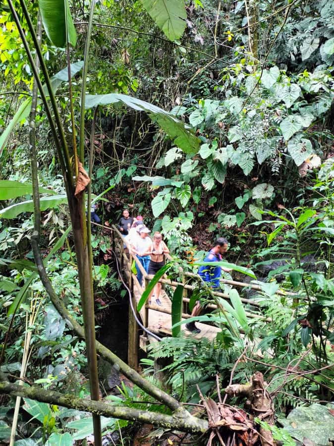 Cocoa Tour - San Rafael Antioquia from Medellín - Ending with fruit, chocolate, and a slower pace