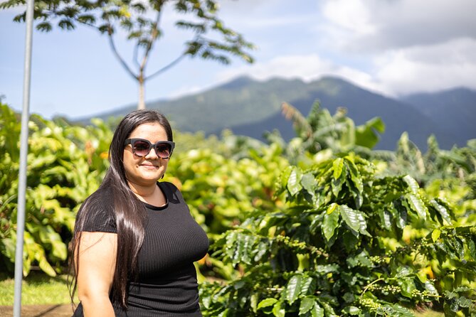 Coffee & Chocolate Tour+Sloths Park & Llanos de Cortez Waterfall - El Sabor de Doña Carmen for a real Costa Rican lunch
