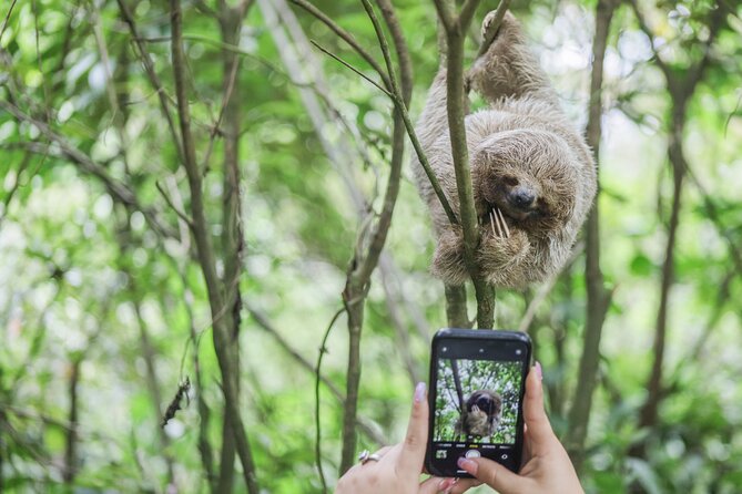 Coffee & Chocolate Tour+Sloths Park & Llanos de Cortez Waterfall - Coffee and cacao made the traditional way