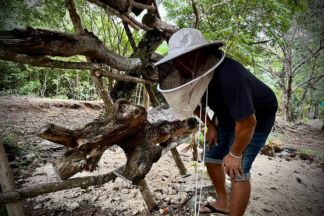 Cozumel: Hands-On Chocolate, Tortilla, Salsa & Honey Experience - Why Tierra Maya is the heart of this Cozumel experience