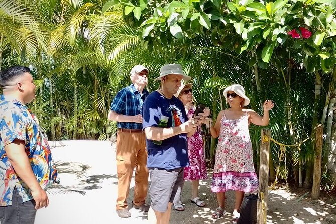 Cozumel: Hands-On Chocolate, Tortilla, Salsa & Honey Experience - Seasonal liqueurs add a small Cozumel taste