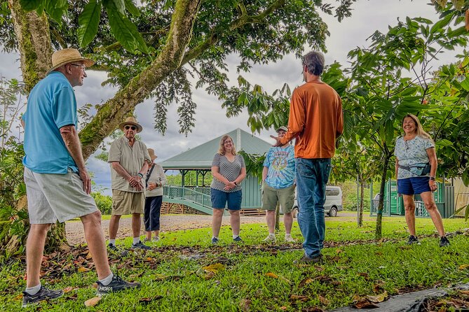 Craft Chocolate Tasting and Farm Experience on the Big Island - A tasting that goes far beyond candy