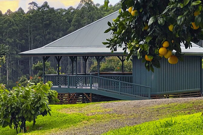 Craft Chocolate Tasting and Farm Experience on the Big Island - The Hawaiian history behind the bar