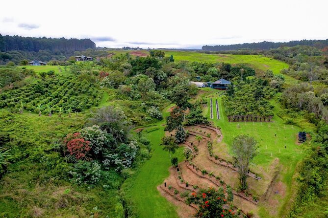 Craft Chocolate Tasting and Farm Experience on the Big Island - What the three-and-a-half-hour schedule feels like