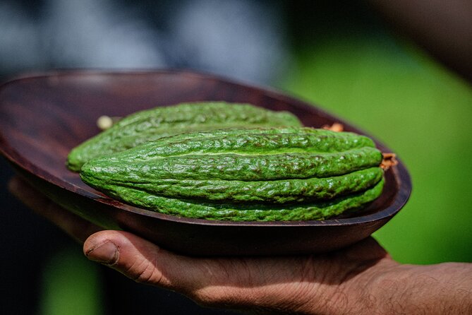 Craft Chocolate Tasting and Farm Experience on the Big Island - Is $135 a fair price?
