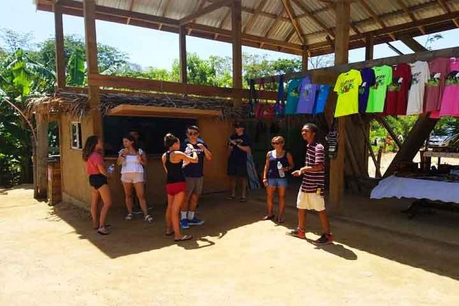 Cruise Ship Family Chocolate Factory, Sloths & Monkeys, Beach, Transportation - Photo stops with views across Roatan