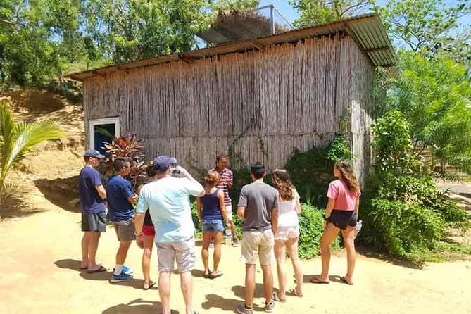 Cruise Ship Family Chocolate Factory, Sloths & Monkeys, Beach, Transportation - The rum and cake store and local shopping