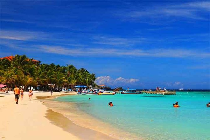 Cruise Ship Family Chocolate Factory, Sloths & Monkeys, Beach, Transportation - Manawakie Eco Natural Park and the sloth encounter